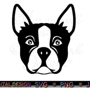 Boston Terrier svg, png, jpg digital download file