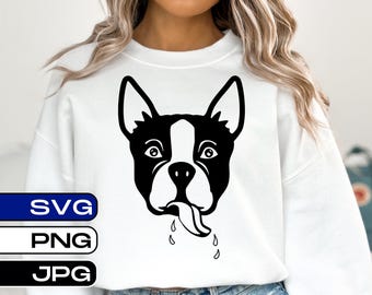Boston Terrier, Cute Boston Terrier Face, PNG, JPG, SVG