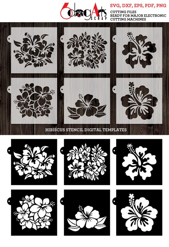 PNG Cookie Stencil Digital Download Cutting File SVG 1 piece DIGITAL Hibiscus Background Stencil