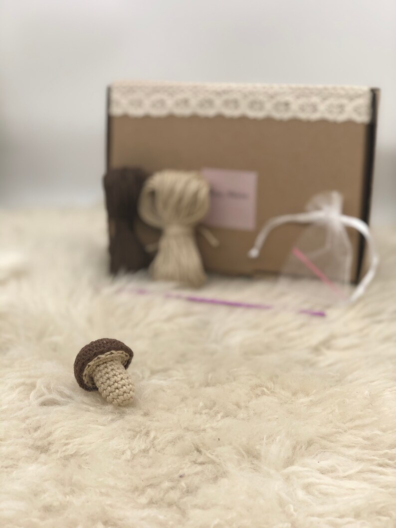 DIY crochet set mushroom for shop with crochet instructions DIY crochet set mushroom for shop with crochet instructions