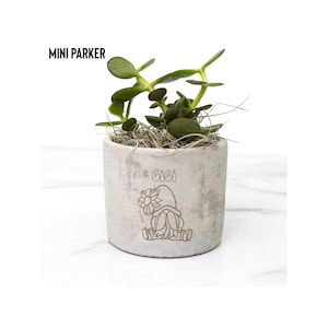 May include: A small white concrete planter with the name "Gigi" and a gnome design. The planter is filled with a green succulent plant.