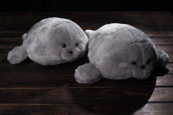 seal teddy