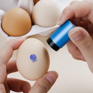 Personalised Egg Marking Stamp Kit, Chicken Egg Stamp, Custom Egg Cart Stamps, Egg Crates Stamp