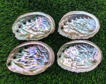 Smudgekom abaloneschelp, niet-poetsmiddel, altaarkom (3-4 inch)