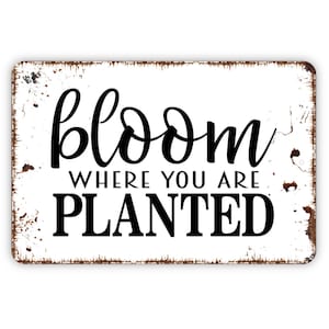 Bloom Where You Are Planted Sign, Funny Garden Affirmation Metal Sign, Farmhouse Contemporary Modern Wall Metal Sign