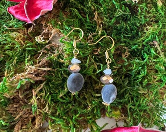 May include: A pair of dangle earrings with gold-colored hooks. Each earring features a dark gray, oval-shaped bead, two faceted, bronze-colored beads, and a few small, light blue beads. The earrings are displayed on a bed of green moss.