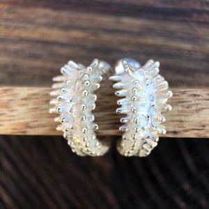 Könnte beinhalten: Ein Paar silberne Creolen mit einem strukturierten, stacheligen Design. Die Ohrringe sind aus Metall und haben eine glänzende Oberfläche.