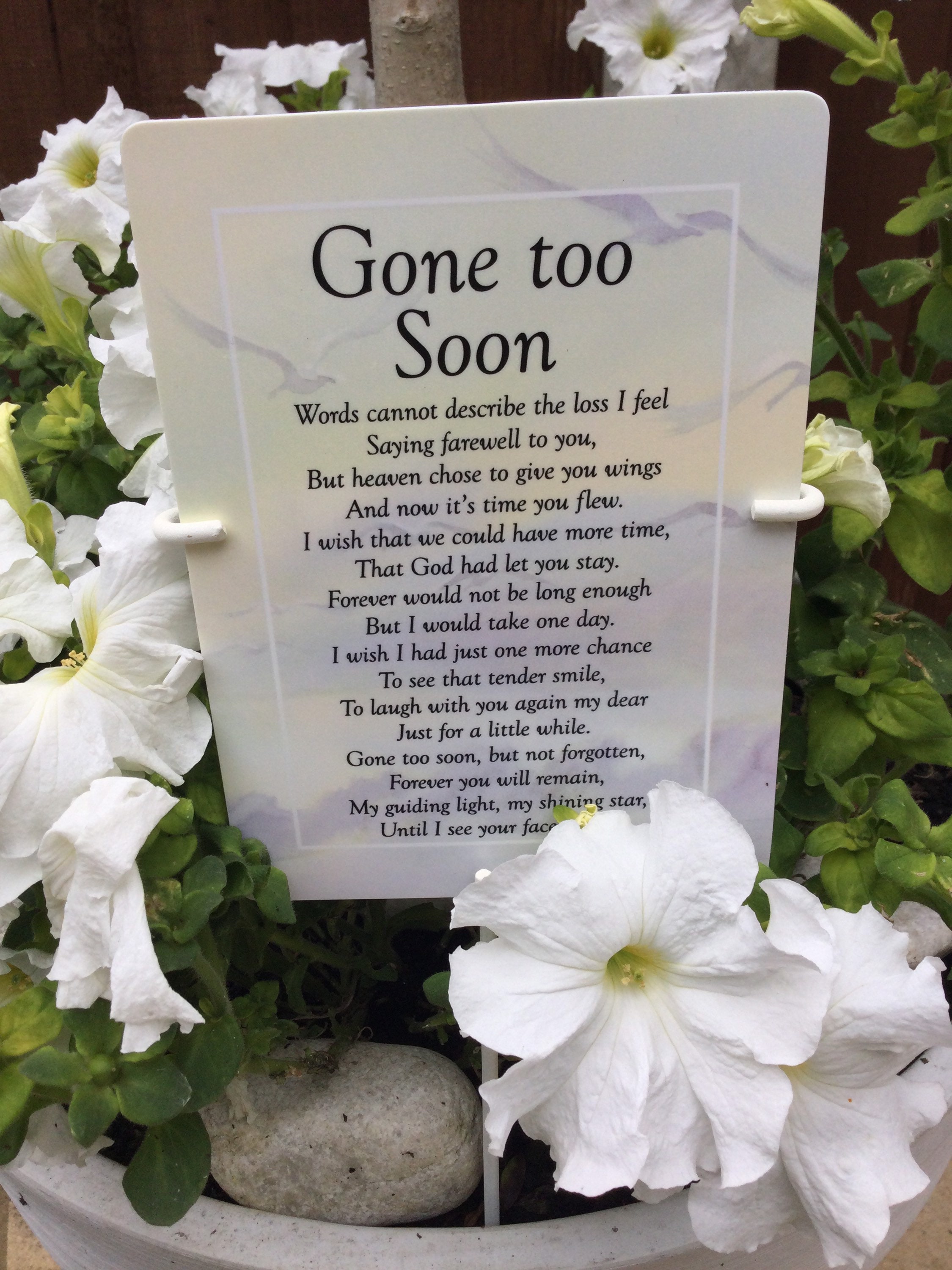 Lost Too Soon Heartbreaking Obituary Reveals Tragic Fate Of Marion Resident - pnhgii0
