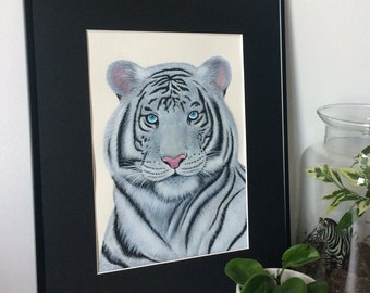 Original watercolor white tiger