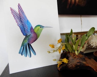 Print from original watercolor Hummingbird