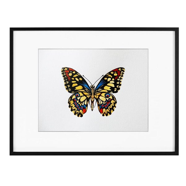 Papillon Peinture originale aquarelle