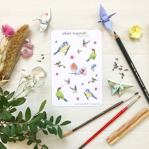 Planche stickers autocollants oiseaux printemps rouge gorge pic vert fleurs de cerisier pour décorer vos carnets