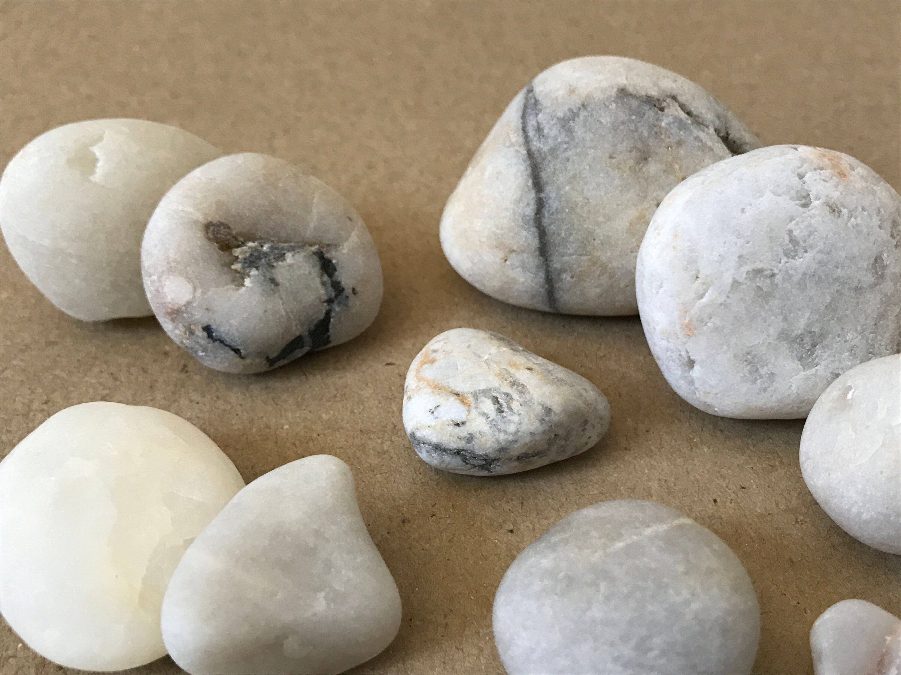 White Beach Stones 15pcs Aquarium Rocks Fish Tank Sea Etsy