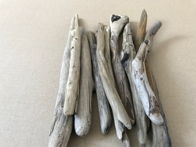 Genuine Driftwood Pieces 10x Decorative Driftwood from Baltic Etsy