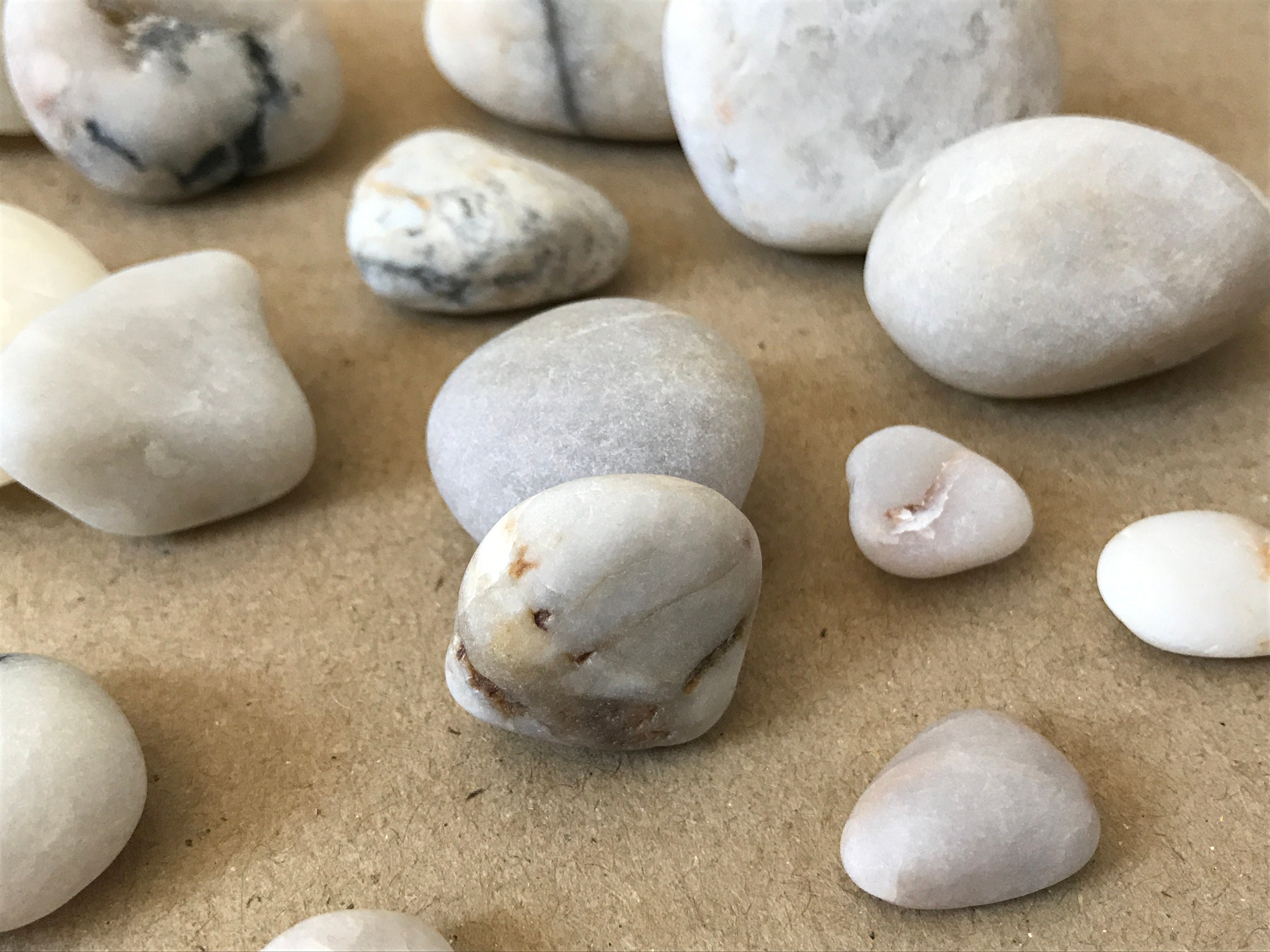 White Beach Stones 15pcs Aquarium Rocks Fish Tank Sea Etsy