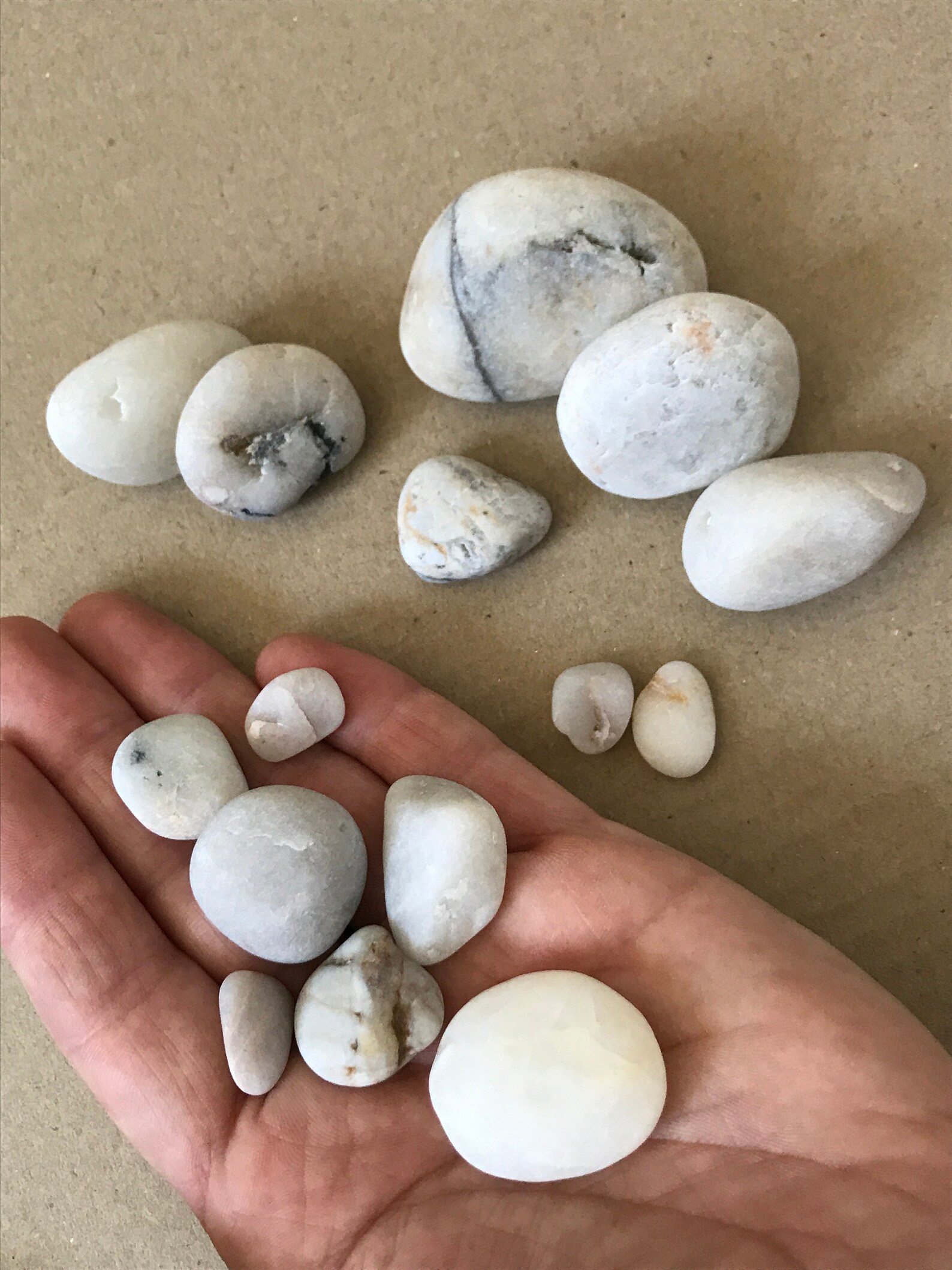 White Beach Stones 15pcs Aquarium Rocks Fish Tank Sea Etsy