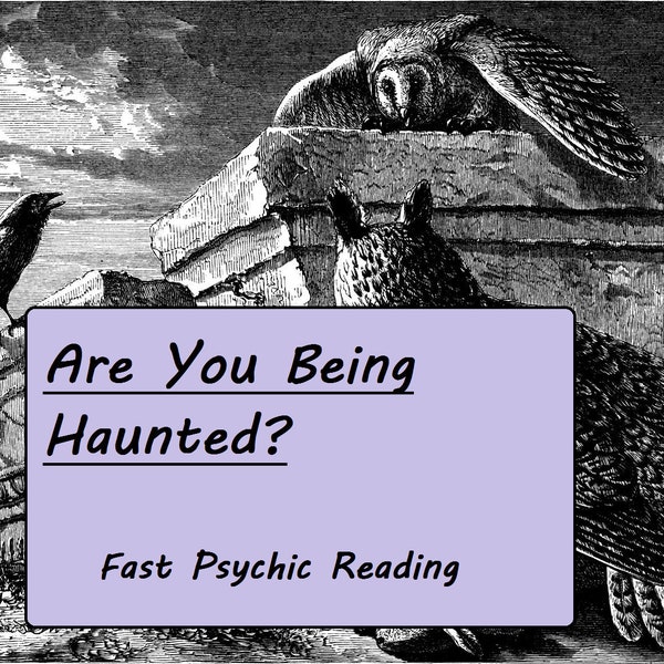 Is My House Haunted? Psychic Ghost Reading - Psychic Reading, Spirit Identification, Poltergeist, Astrological Reading, Paranormal Reading