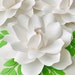 see more listings in the flores pequenas section