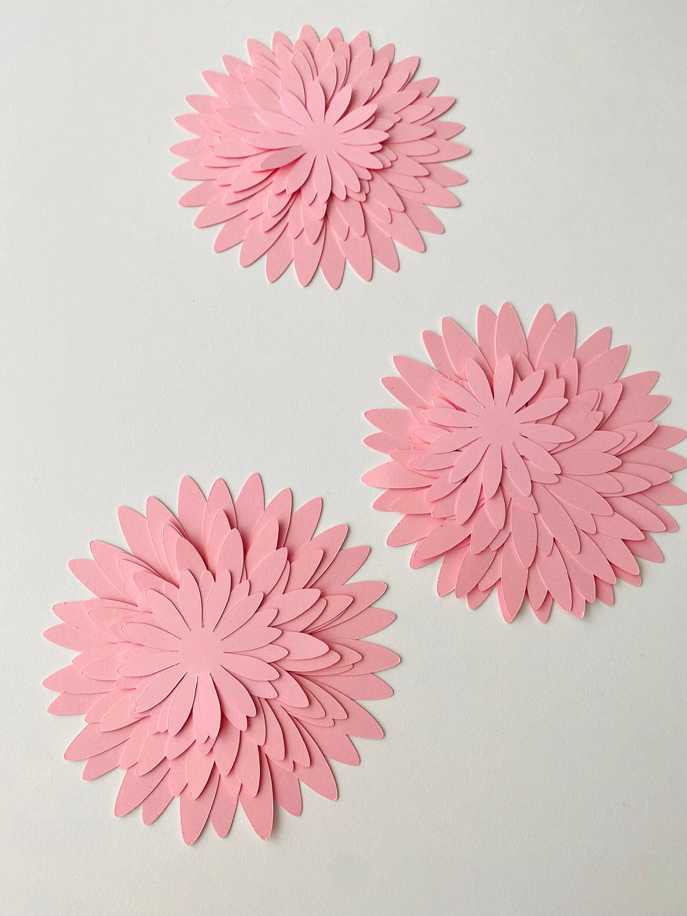 SVG Digital File Chrysanthemum Flower Template Spring Decor Etsy