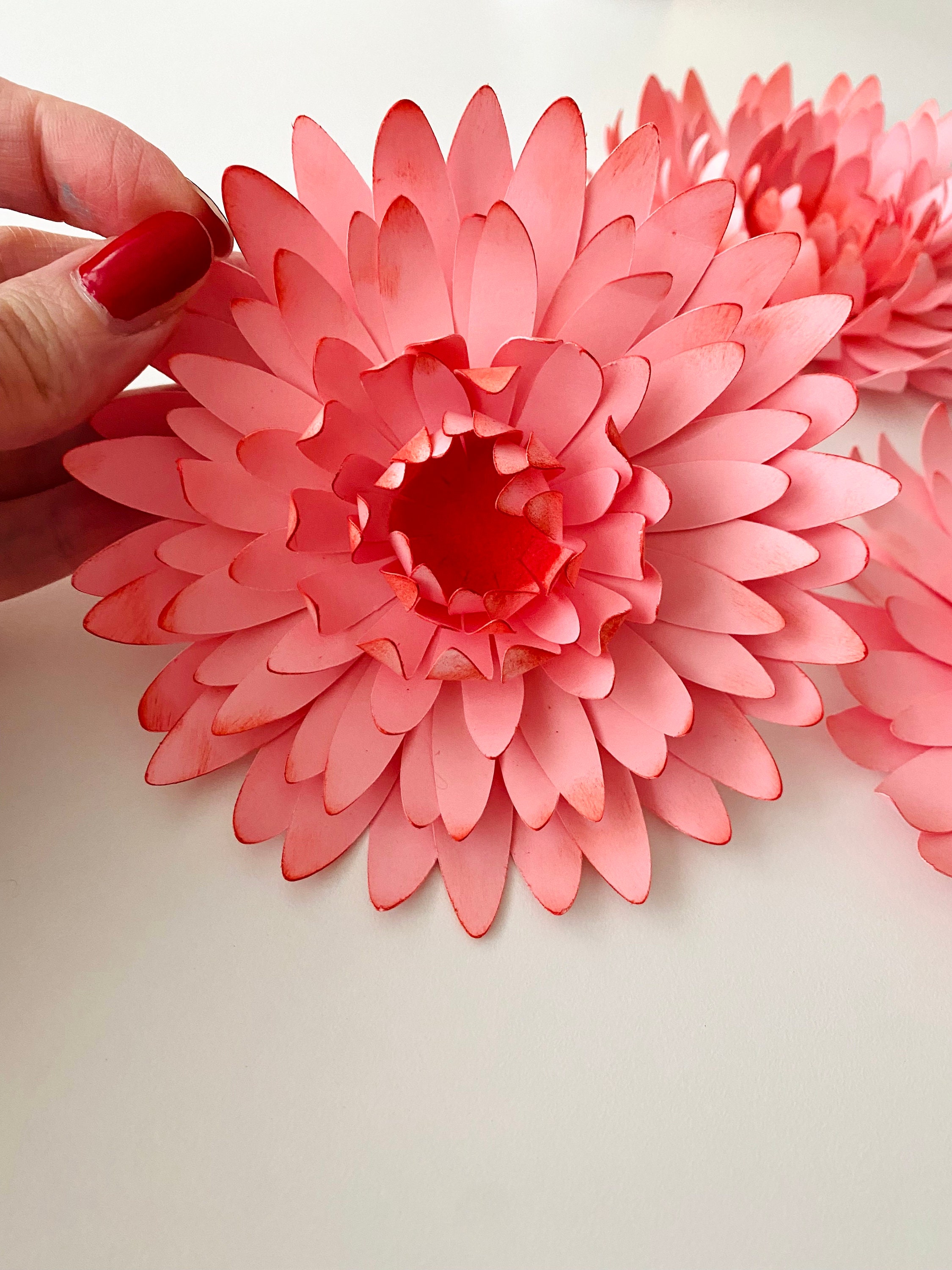 SVG Digital File Chrysanthemum Flower Template Spring Decor Etsy