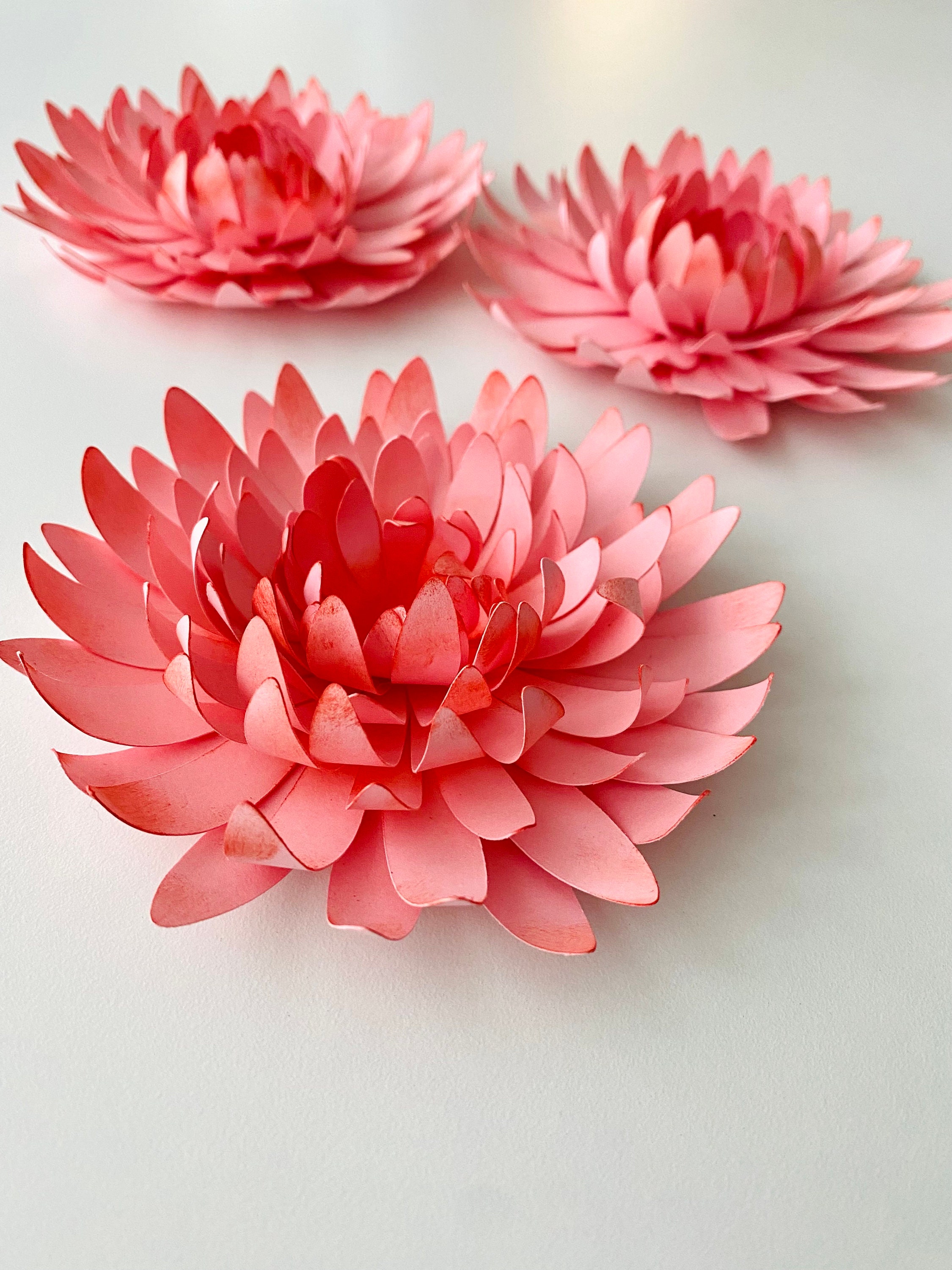 SVG Digital File Chrysanthemum Flower Template Spring Decor Etsy