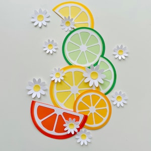 Puede incluir: Recortes de papel de limones, limas y naranjas con flores de margarita blancas sobre un fondo blanco.
