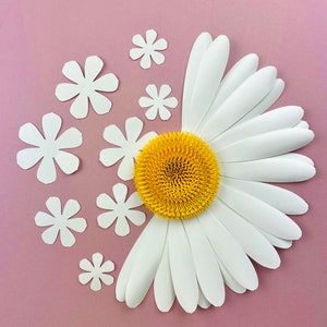 File digitale SVG, margherita di carta, modello per fiori Cricut, decorazioni primaverili fai da te, decorazioni per la cameretta dei bambini, regalo per la festa della mamma, lavoretti per bambini, fiori di carta