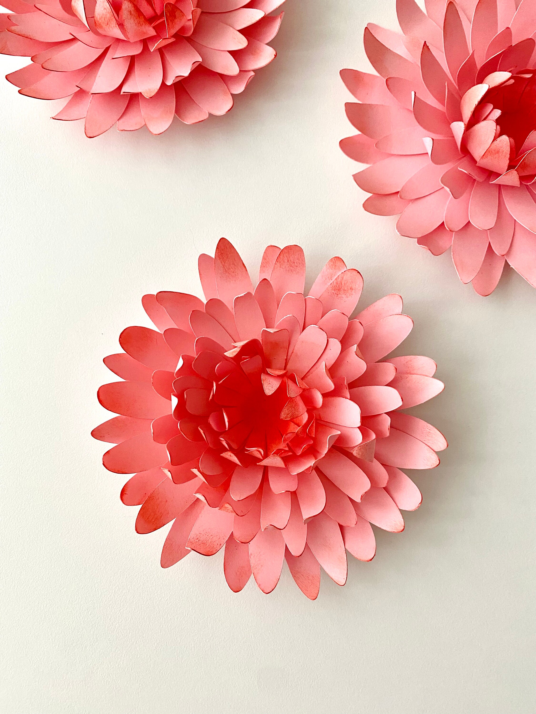 SVG Digital File Chrysanthemum Flower Template Spring Decor Etsy