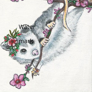 Printable Opossum Portrait With Flowers