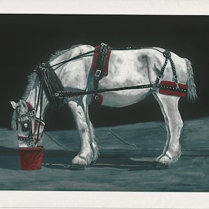 Draft Horse Drawing Professional Print
