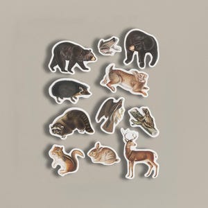 Paquete de pegatinas / Animales del bosque / Paquete de pegatinas vintage / Ilustraciones académicas / Pegatinas de animales / Efímeras vintage / Efímeras de animales