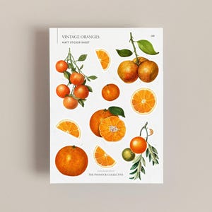 vintage Illustrations d'oranges feuille d'autocollants | Autocollants sur le thème des fruits | autocollants pour scrapbooking | autocollants vintage | Fruits oranges | impressions vintage