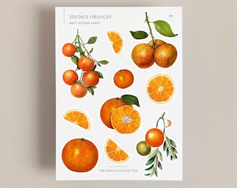 Vintage Oranges Illustrations Sticker sheet | Fruit themed stickers | scrapbook stickers | Vintage Stickers | Orange fruit | Vintage prints