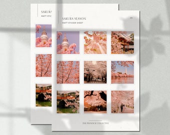 Sticker Sheet | Sakura Season | Sakura Stickers | Cherry Blossom Stickers | Seasonal Stickers | Blossoms stickers | Deco Sakura Stickers