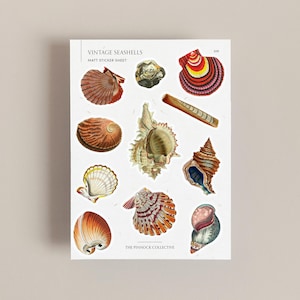 Hoja de pegatinas vintage / Pegatinas de conchas marinas / Planificador de playa / Álbum de recortes de verano / Diario de viaje / Cuaderno de viaje / Pegatinas marinas / Adorno marino