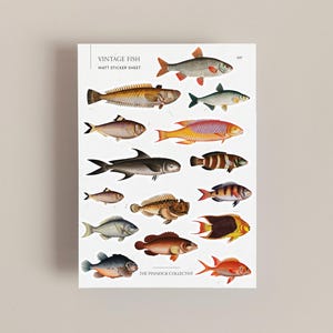 Hoja de pegatinas / Peces / Hoja de pegatinas de peces antiguos / Ilustraciones académicas / Pegatinas de paisajes marinos / Efímeras antiguas / Efímeras de animales / Peces