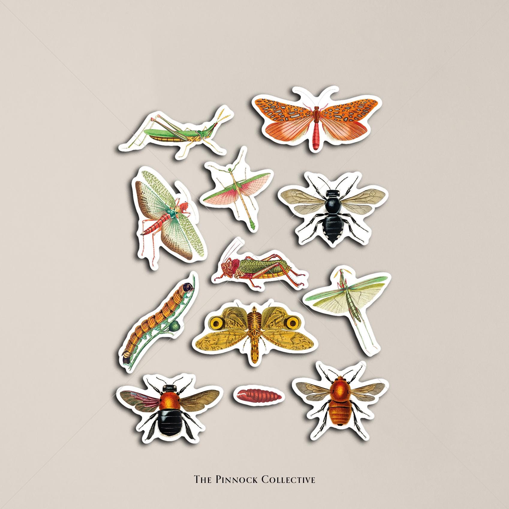 Printable Insect Sticker Sheet Sticker Sheet | Vintage Insects | Vintage Sticker Sheet | Academia ...