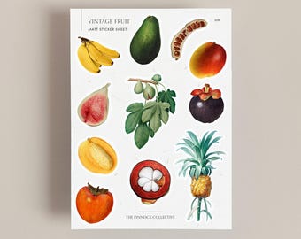 Sticker Sheet | Vintage Tropical Fruit Illustrations | Fruit themed stickers | scrapbook stickers | Vintage Stickers | Vintage prints |Fruit
