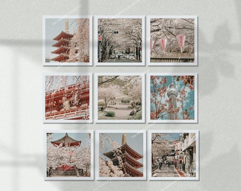 Japan At Spring Sticker pack, perfect for journaling and scrapbooking, stickers, spring themed stickers, Japan at spring bordered images