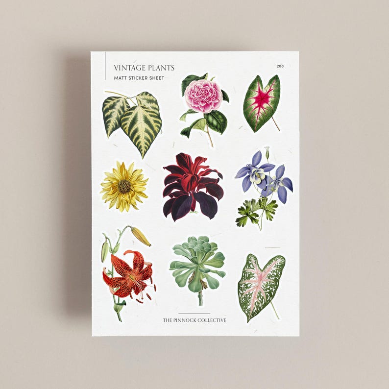 May include: A sheet of matte stickers featuring vintage illustrations of various plants. The sticker sheet includes a sunflower, a red leaf plant, a blue flower, a lily, a succulent, and a green and pink leaf plant. The sticker sheet is titled "Vintage Plants" and "Matt Sticker Sheet" and is from "The Pinnock Collective".