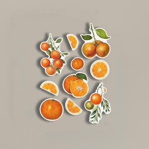 Pack d'autocollants illustrations pêche vintage, autocollants sur le thème des fruits, autocollants de scrapbooking, autocollants vintage, fruit pêche, impressions d'art vintage