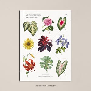 May include: A sheet of vintage plant stickers featuring nine different botanical illustrations. The stickers are matte and include a variety of flowers and leaves in various colors, including red, green, yellow, blue, and pink. The sheet is labeled "Vintage Plants Matt Sticker Sheet" and "The Pinnock Collective."