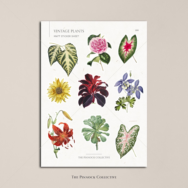 May include: A sheet of vintage plant stickers featuring nine different botanical illustrations. The stickers are matte and include a variety of flowers and leaves in various colors, including red, green, yellow, blue, and pink. The sheet is labeled "Vintage Plants Matt Sticker Sheet" and "The Pinnock Collective."