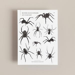 Könnte beinhalten: Ein mattes Stickerbogen mit schwarzen Aquarell-Illustrationen von Spinnen. Auf dem Bogen steht "WATERCOLOUR SPIDERS" und "MATT STICKER SHEET". Am unteren Rand steht "THE PINNOCK COLLECTIVE".