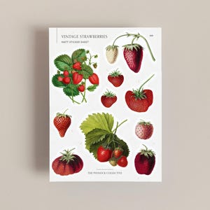 Stickervel vintage aardbeienillustraties | Stickers met fruitthema | Scrapbooken | Vintage stickers | Aardbeien | Vintage