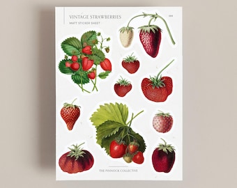 Hoja de pegatinas con ilustraciones de fresas vintage / Pegatinas con temática de frutas / Scrapbooking / Pegatinas vintage / Fruta de fresa / Vintage