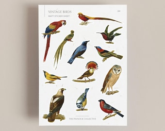 Vintage Birds Sticker Sheet | Vintage Art | Bird Lover Gifts | Bird Watching | Vintage Illustration art