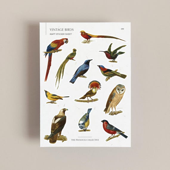 Vintage Birds Sticker Sheet | Vintage Art | Bird Lover Gifts | Bird Watching | Vintage Illustration art