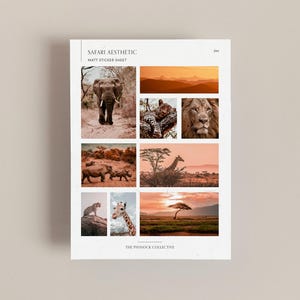 Adesivos com tema de safári | Diário | Adesivos de animais | Presente para amantes de animais | Leão | Tigre | Elefante | Safári africano | Diário