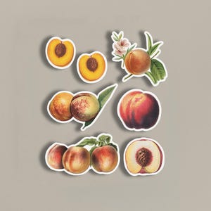 Pack d'autocollants illustrations pêche vintage, autocollants sur le thème des fruits, autocollants de scrapbooking, autocollants vintage, fruit pêche, impressions d'art vintage